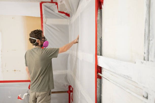 Best Emergency Mold Remediation  in Carlin, NV