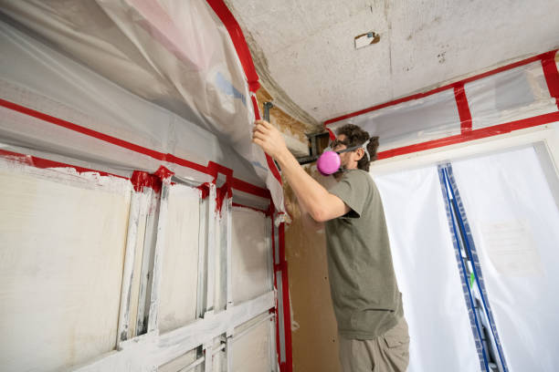 Best Mold Remediation for Healthcare Facilities  in Carlin, NV