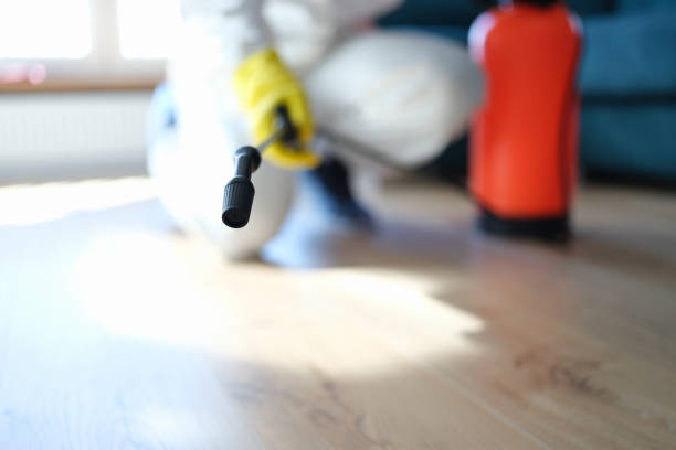Best Biohazard Mold Removal  in Carlin, NV