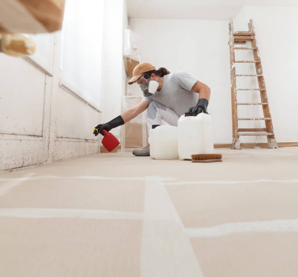 Best Mold Prevention Services  in Carlin, NV